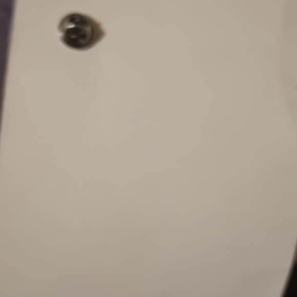 Hunger Games Pin - Picture 3 of 4